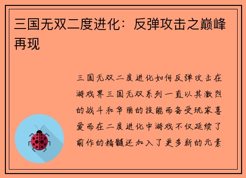 三国无双二度进化：反弹攻击之巅峰再现